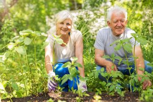 National Garden Month: 3 Tips A Clean Garden