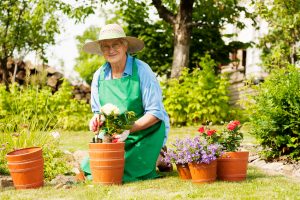 Gardening Safety and Older Adults